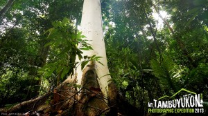 Mount Tambuyukon Expedition  